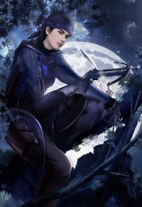 黑手党先生，离婚吧