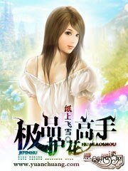 极品护花高手